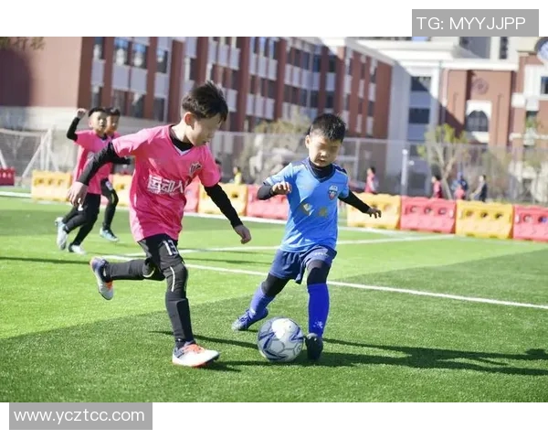 桐乡市足球明星阵容正式揭晓球迷期待新赛季精彩表现